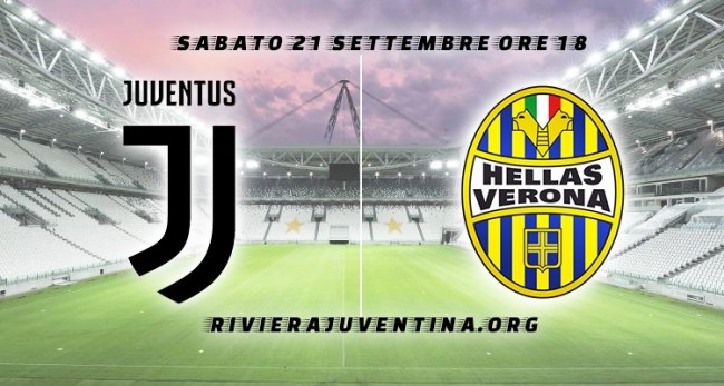 为了掩护同伴撤退，公牛独自留下应对狮群，英雄无处不在！